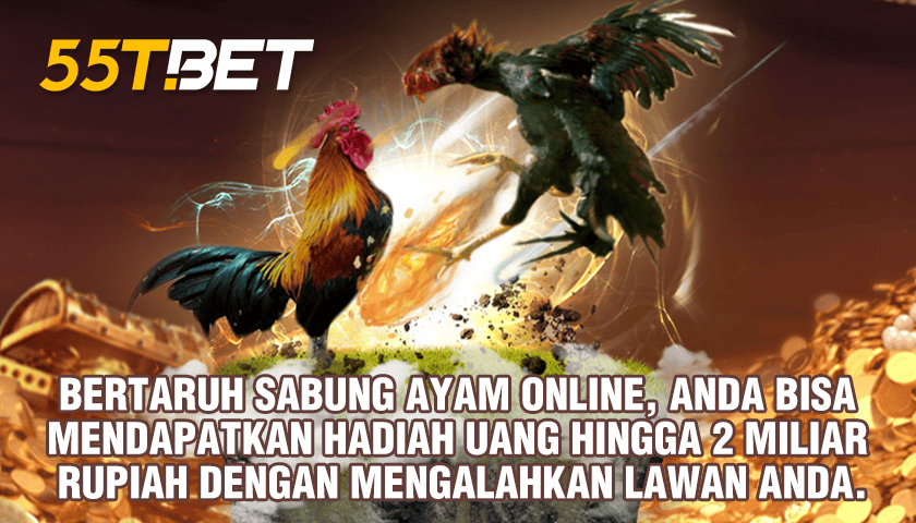 BANDAR303: Situs Agen Judi Slot Gacor Hari Ini & Live Casino